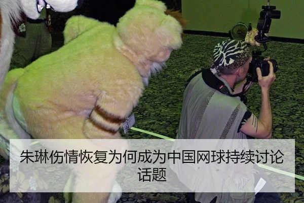 朱琳伤情恢复为何成为中国网球持续讨论话题 | aitiyu